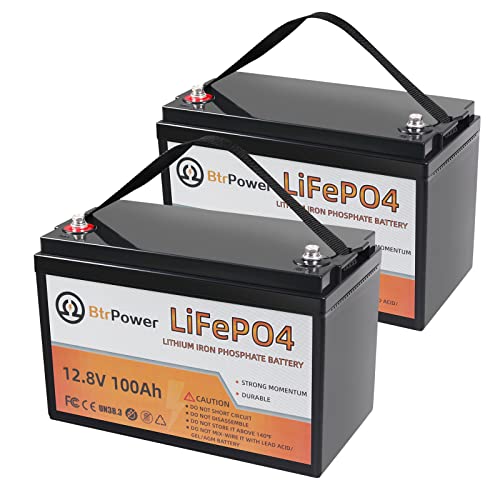 2 Pack 12V 100Ah LiFePO4 Deep Cycle Rechargeable Battery Pack