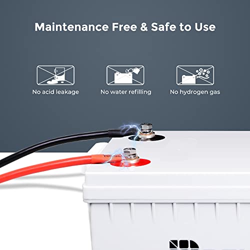 Renogy Deep Cycle AGM Battery 12 Volt 200Ah, 2000A Max Discharge Current, Maintenance-Free