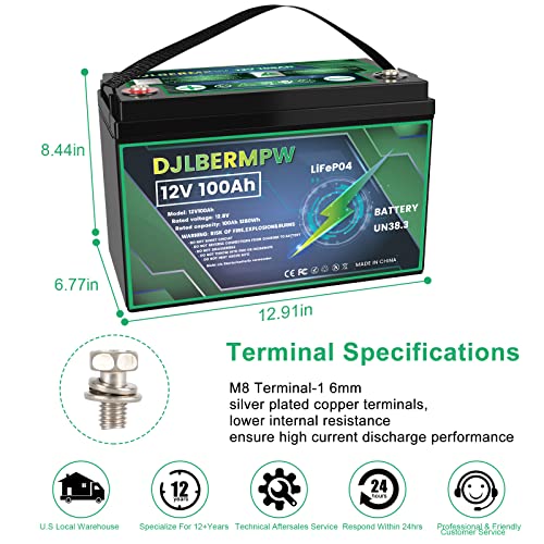DJLBERMPW Lithium battery, 12V 100AH LiFePO4 Deep Cycle Battery, Up to 4000+ Cycle Built-in 100A BMS, Rechargeable Battery