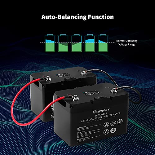 Renogy 12V 100Ah LiFePO4 Deep Cycle Lithium Battery, over 4000 Cycles, Built-in BMS, Backup Power for RV, Marine, Off-Grid System, Maintenance-Free